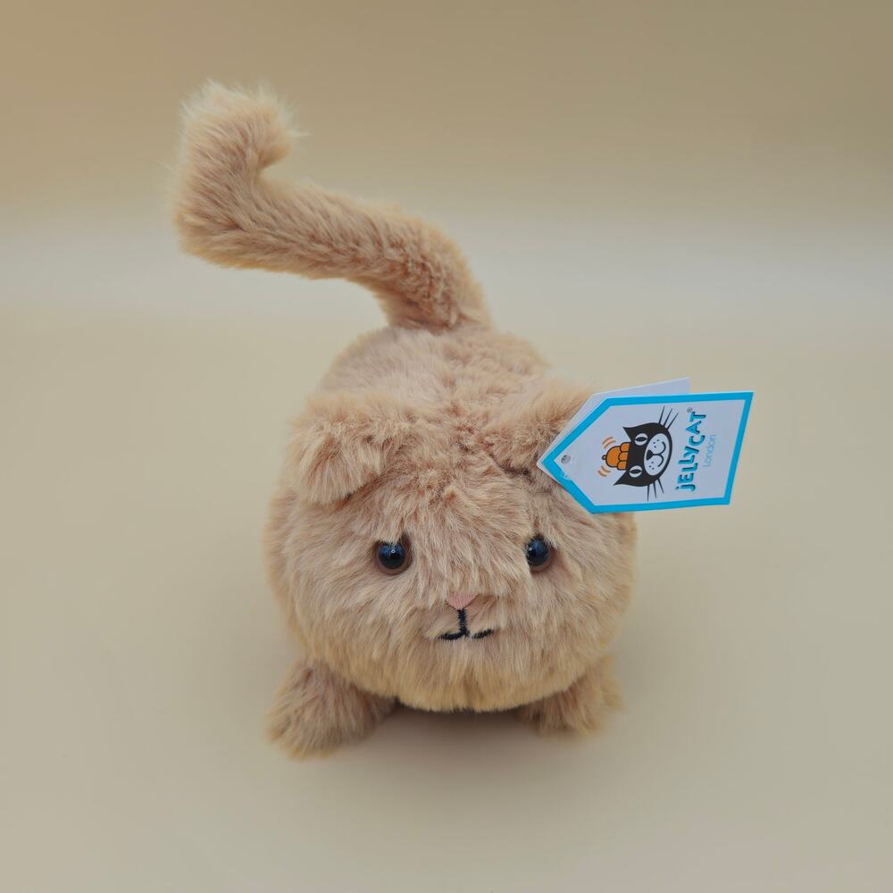 Jellycat Kitten Caboodle Ginger - AUTHENTIC - NEW WITH TAGS